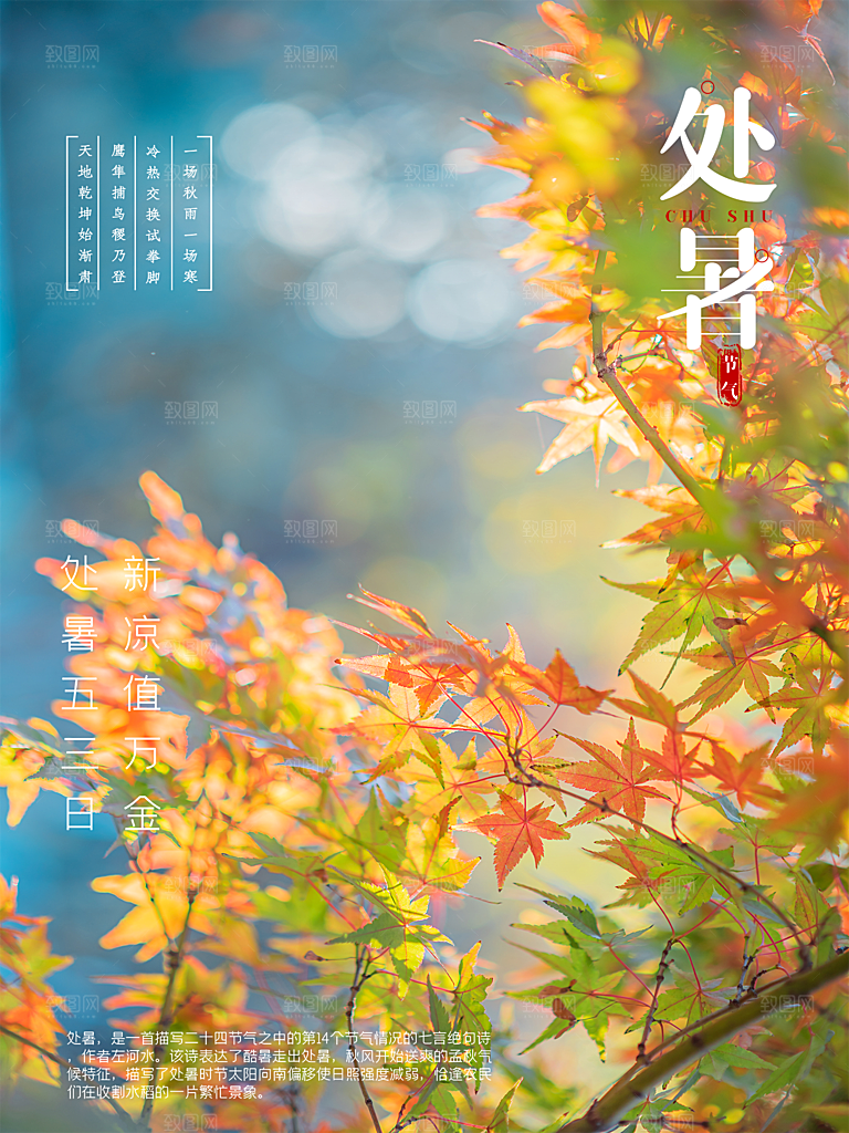 处暑节气简约大气插画海报