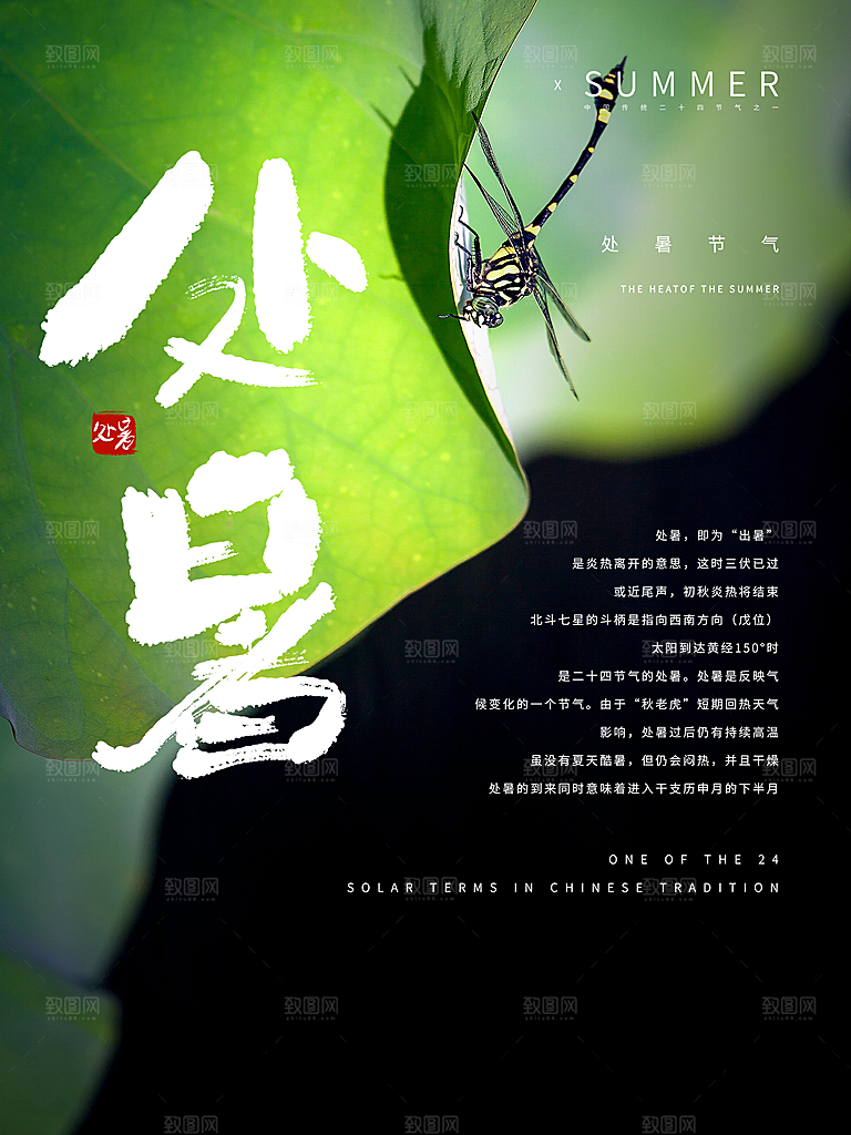 处暑节气简约大气插画海报