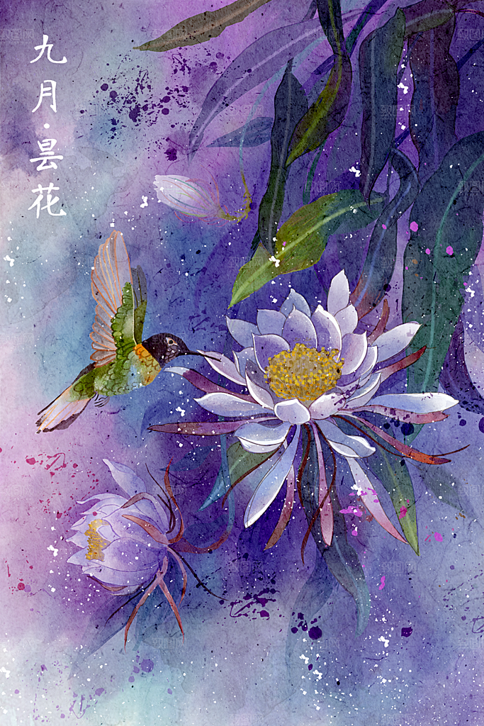 唯美花鸟手绘中国风意境海报