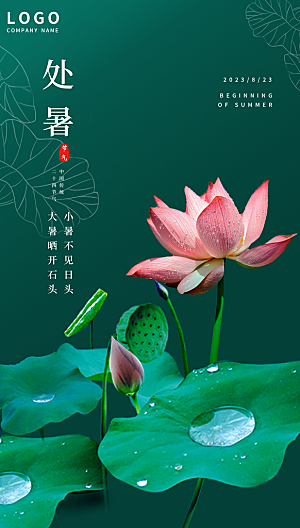 处暑节气简约大气插画海报