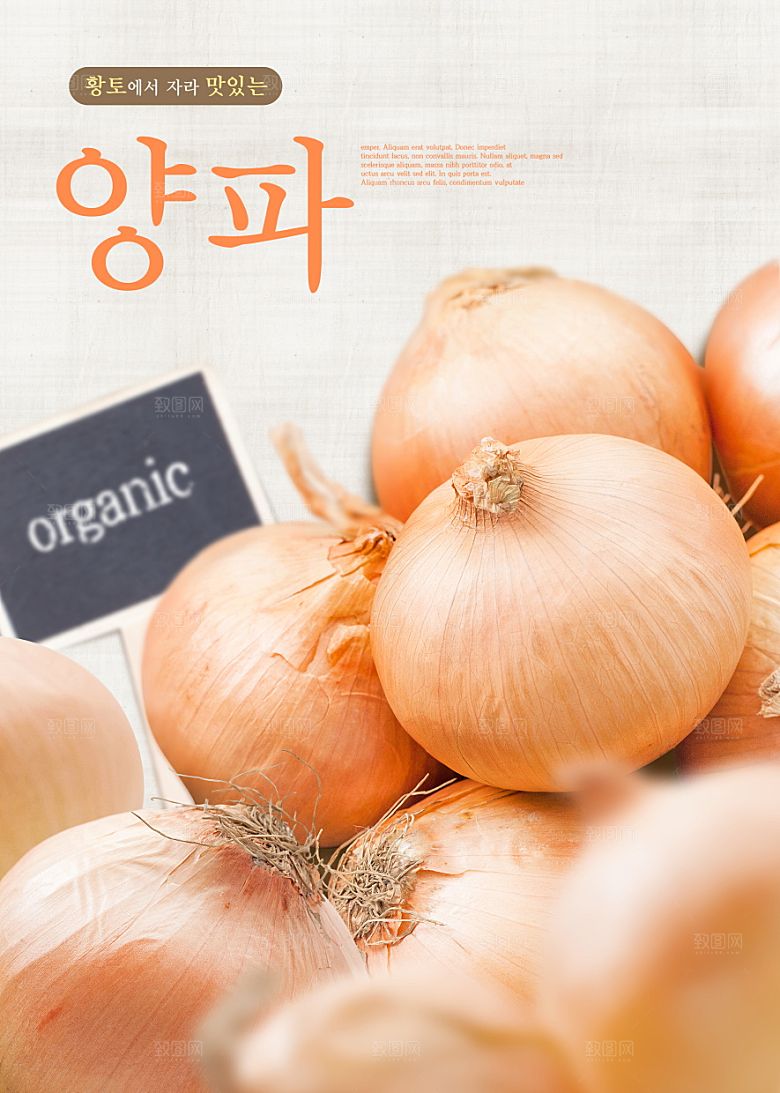 韩国特色美食海报