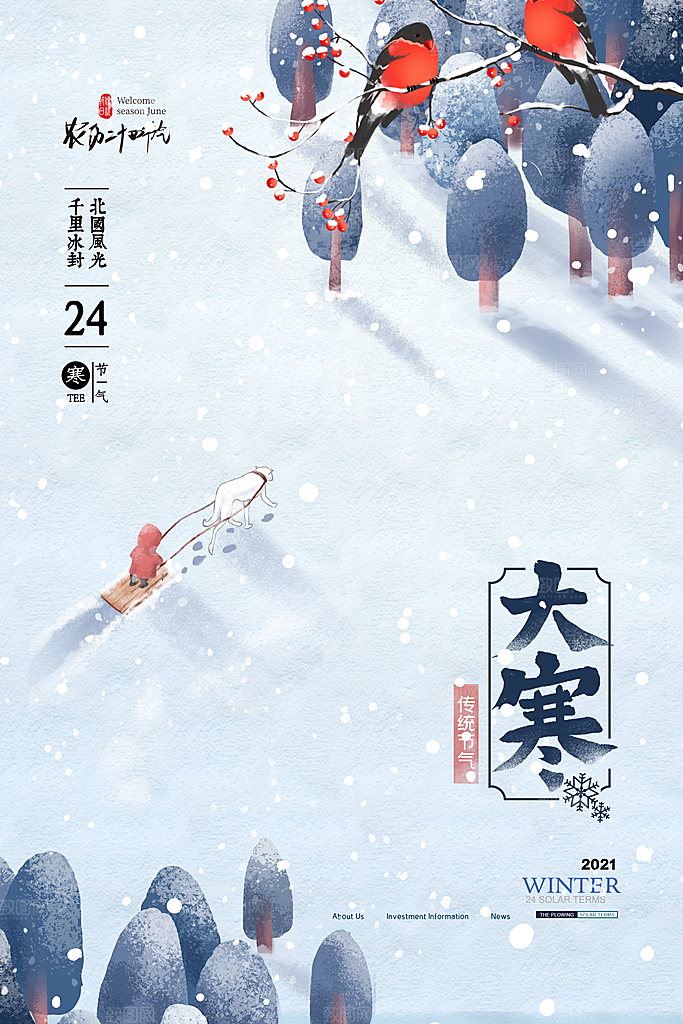 时尚大寒节气宣传海报