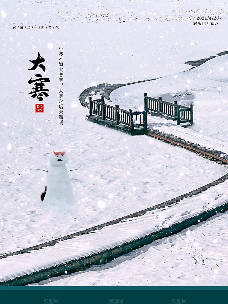 时尚大寒节气宣传海报