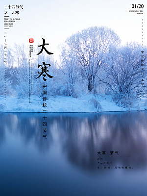 时尚大寒节气宣传海报