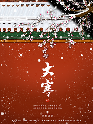 时尚大寒节气宣传海报