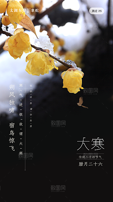 清新大寒节气宣传海报