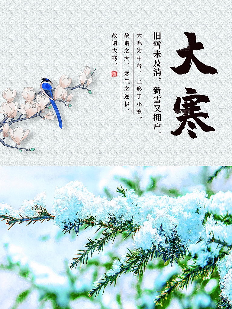 时尚大寒节气宣传海报