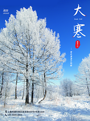 时尚大寒节气宣传海报