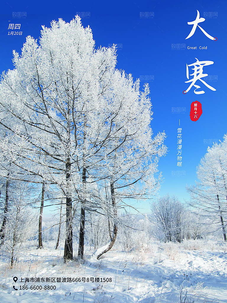 时尚大寒节气宣传海报