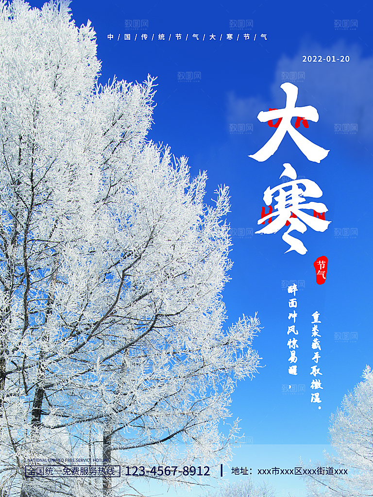 高级大寒节气宣传海报