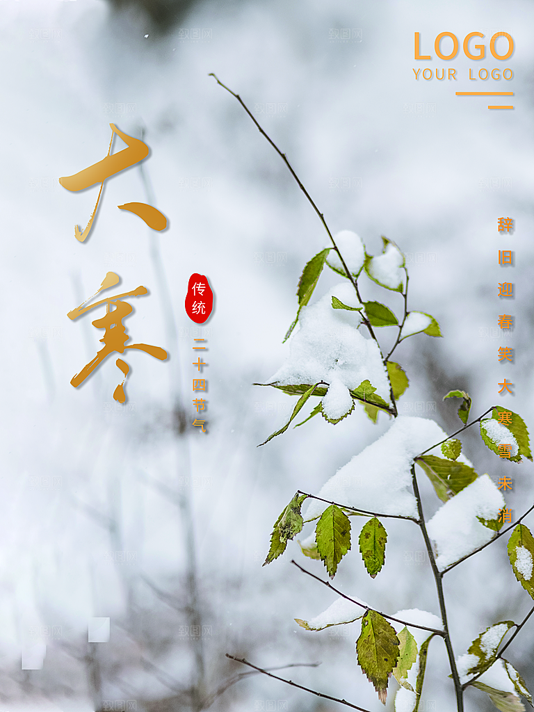 高档大寒节气宣传海报