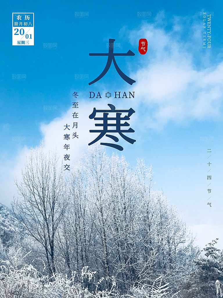 高档大寒节气宣传海报