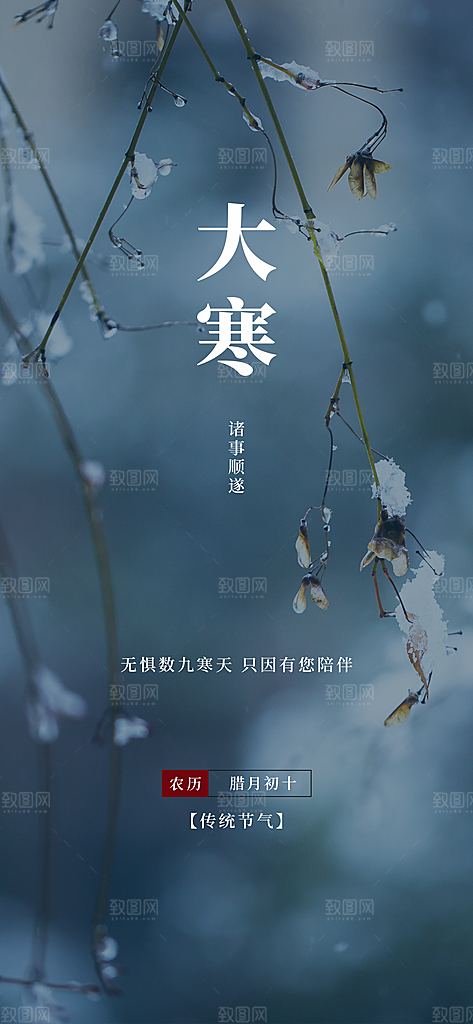 时尚大寒节气宣传海报