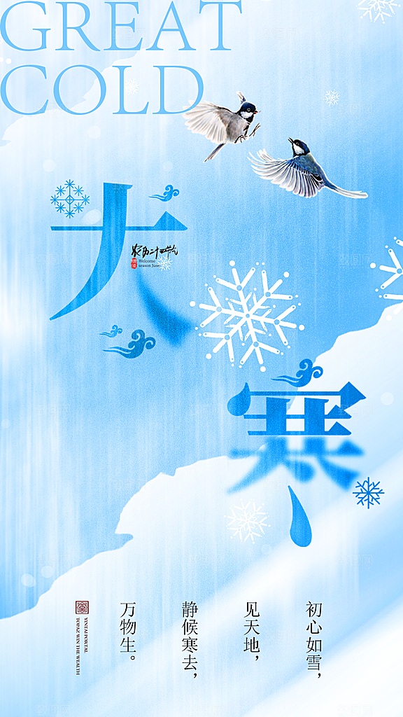 时尚大寒节气宣传海报