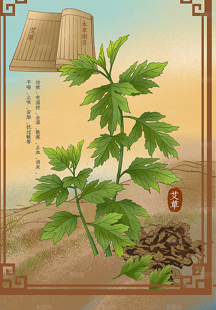 中草药作用与功效介绍插画