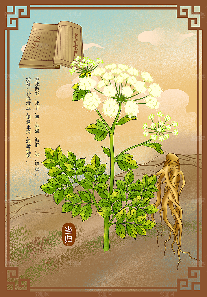 中草药作用域功效介绍插画