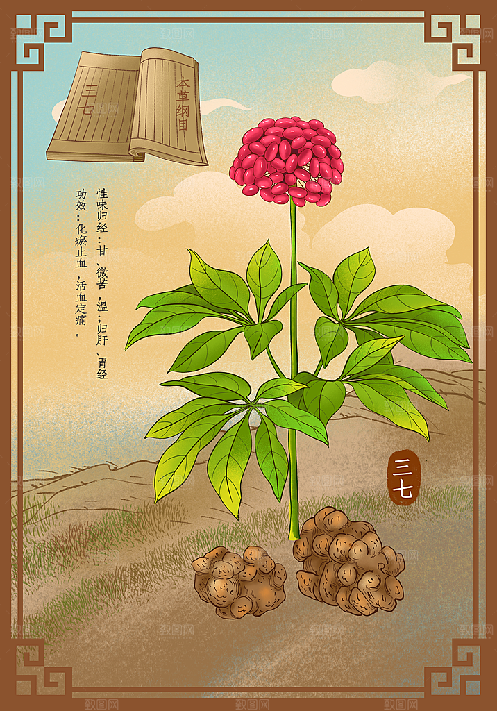 中草药作用域功效介绍插画