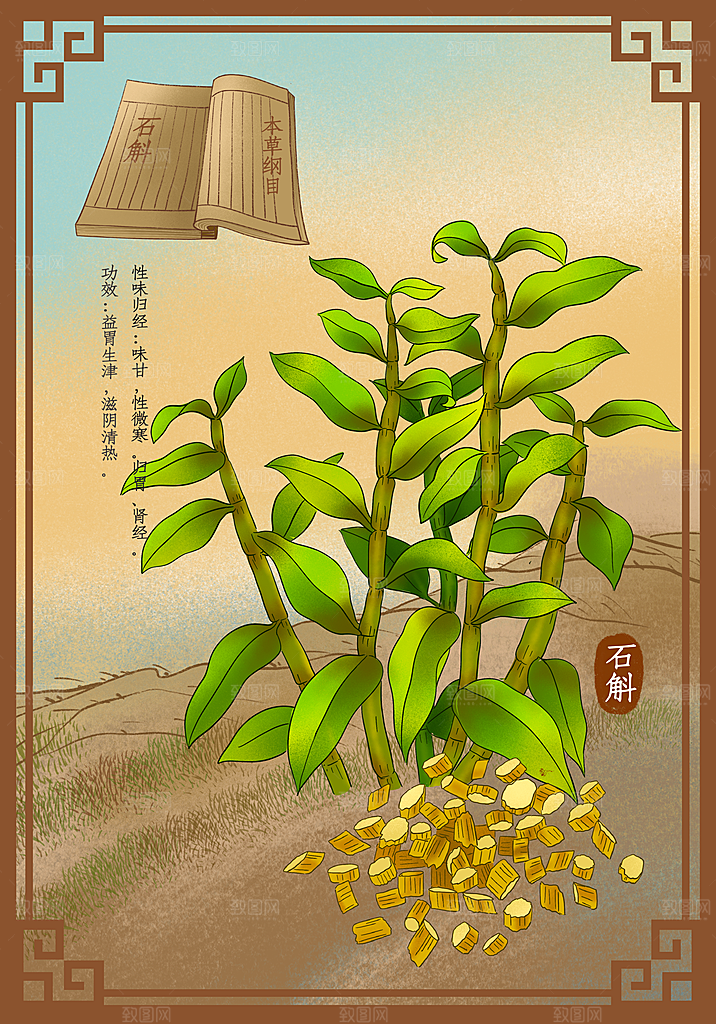中草药作用域功效介绍插画