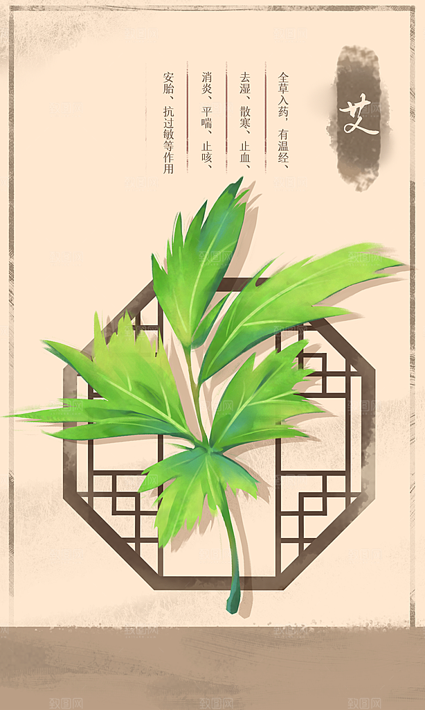 中草药作用与功效介绍插画