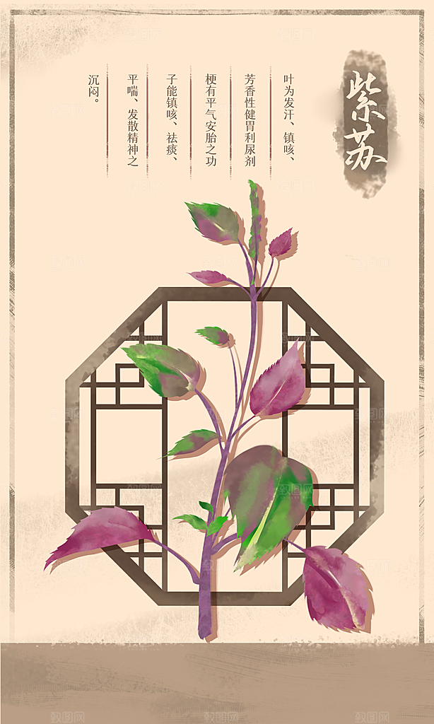 中草药作用与功效介绍插画