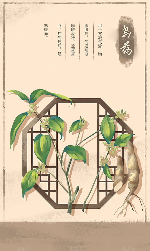 中草药作用与功效介绍插画