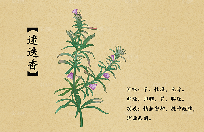 中草药作用与功效介绍插画