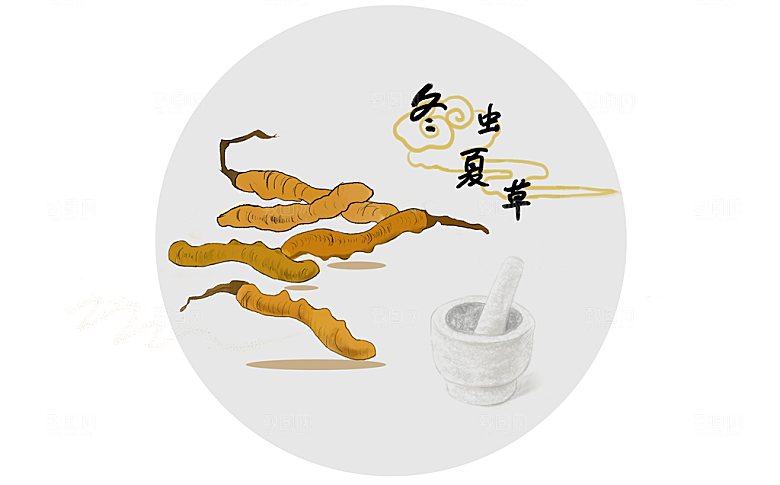 中草药作用与功效介绍插画