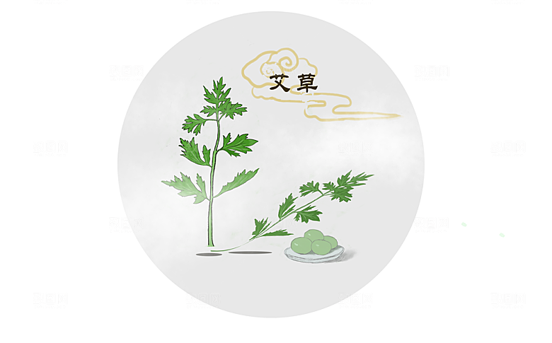 中草药作用与功效介绍插画