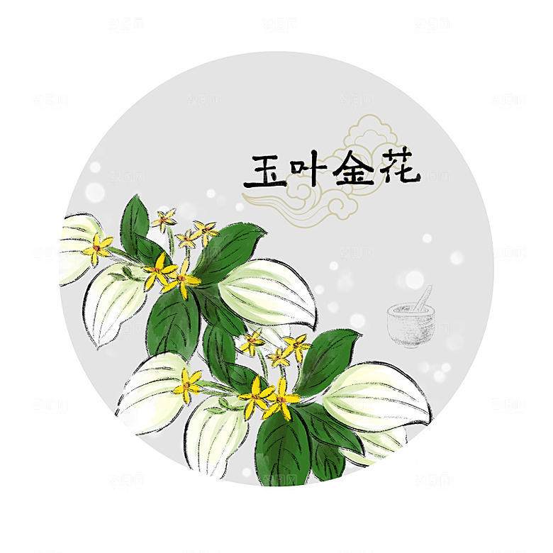 中草药作用与功效介绍插画