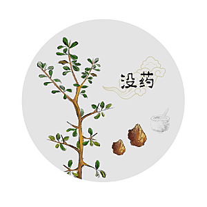 中草药作用与功效介绍插画