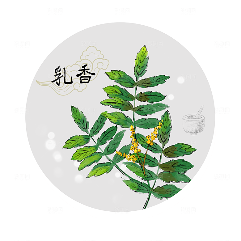 中草药作用与功效介绍插画