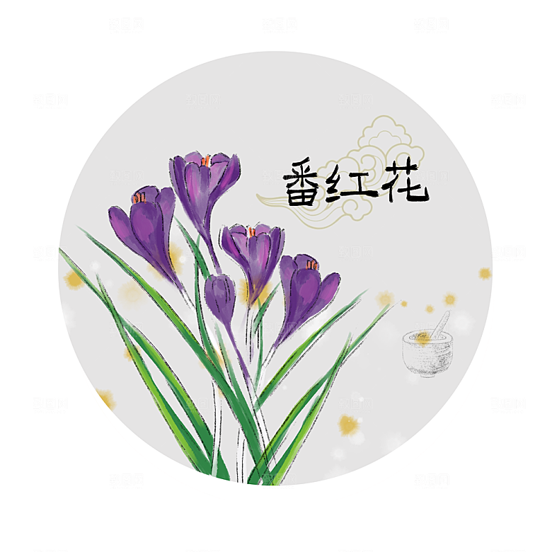 中草药作用与功效介绍插画
