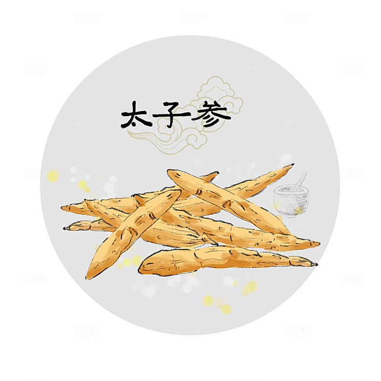 中草药作用与功效介绍插画