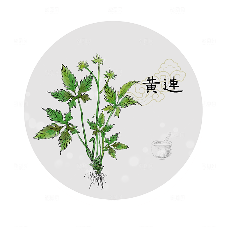 中草药作用与功效介绍插画