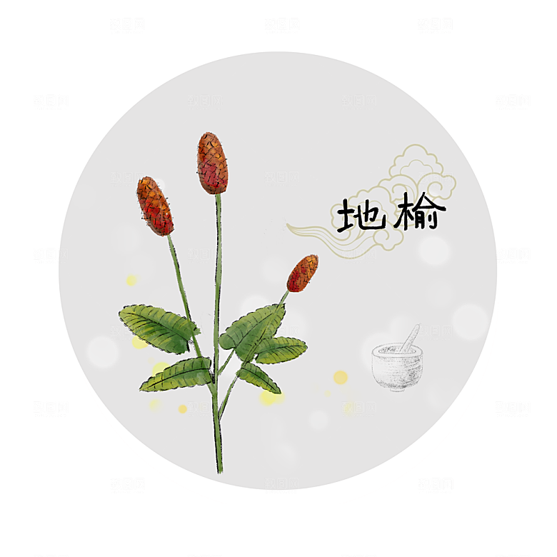中草药作用与功效介绍插画