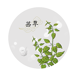 中草药作用与功效介绍插画