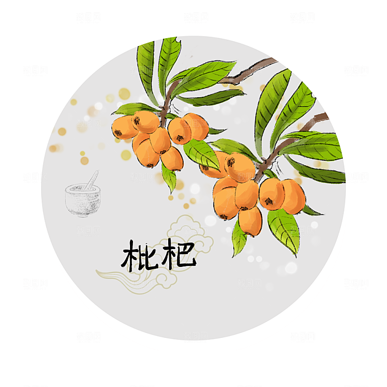 中草药作用与功效介绍插画