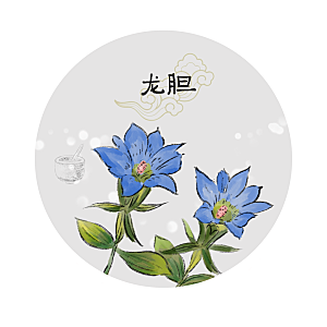 中草药作用与功效介绍插画