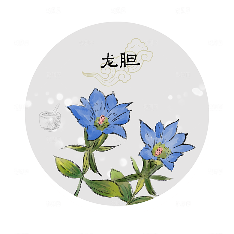 中草药作用与功效介绍插画