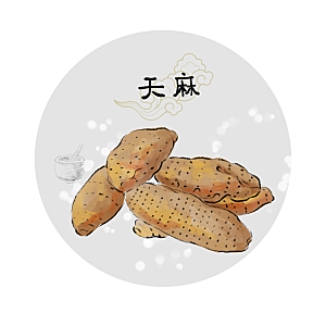 中草药作用与功效介绍插画