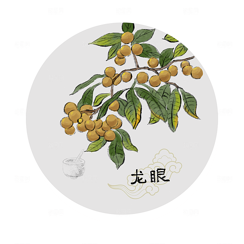 中草药作用与功效介绍插画