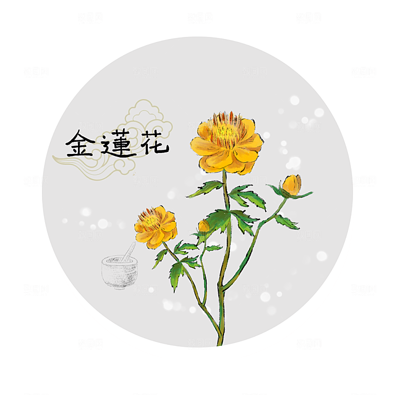 中草药作用与功效介绍插画
