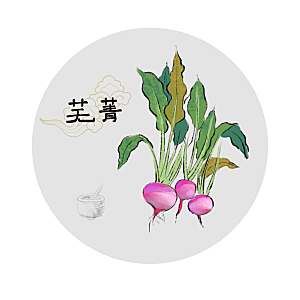中草药作用与功效介绍插画
