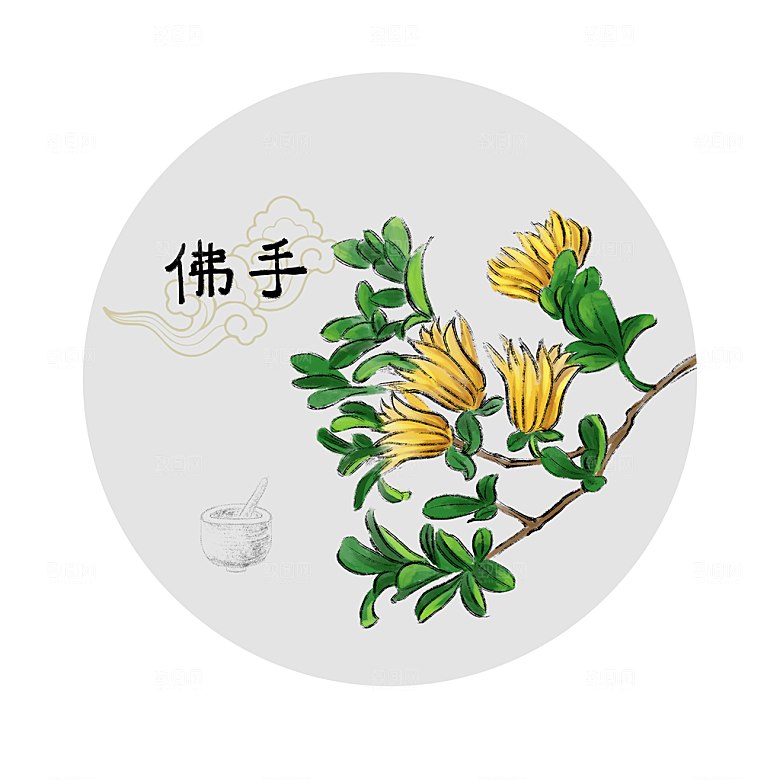 中草药作用与功效介绍插画