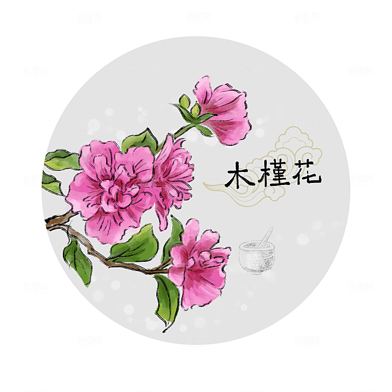 中草药作用与功效介绍插画