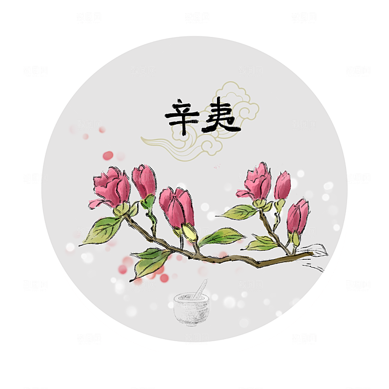 中草药作用与功效介绍插画