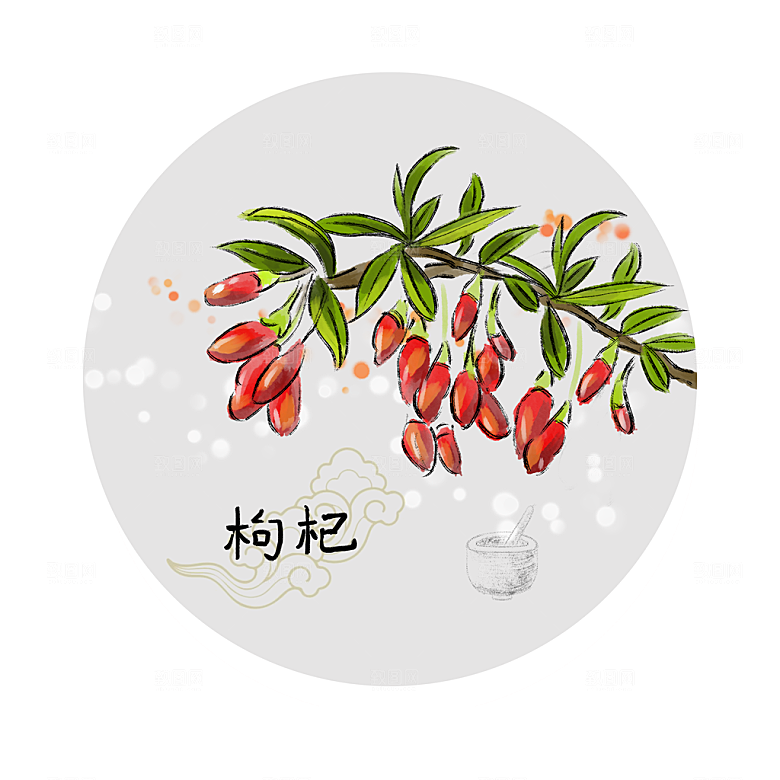 中草药作用与功效介绍插画