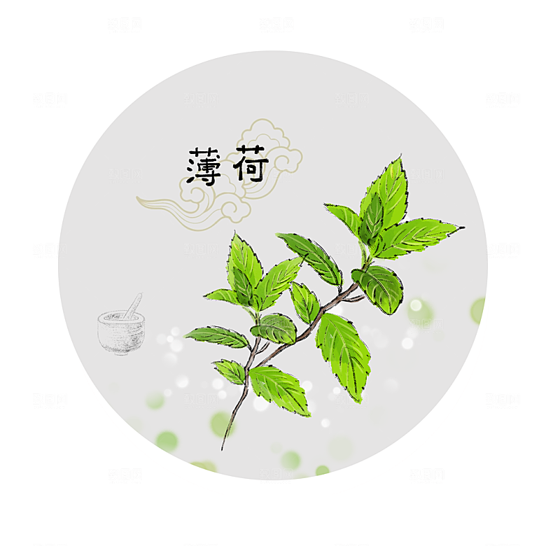 中草药作用与功效介绍插画