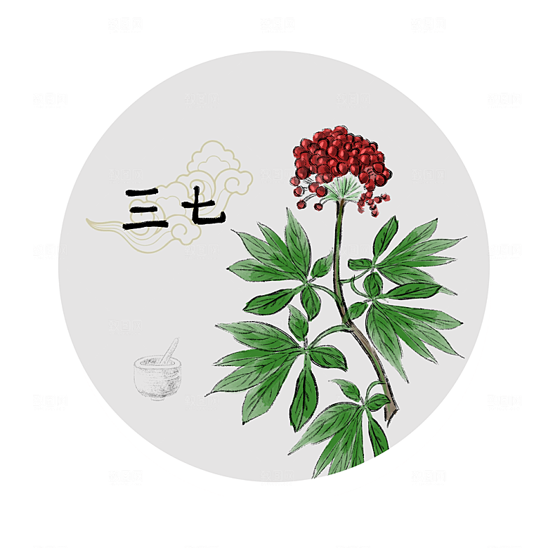 中草药作用与功效介绍插画