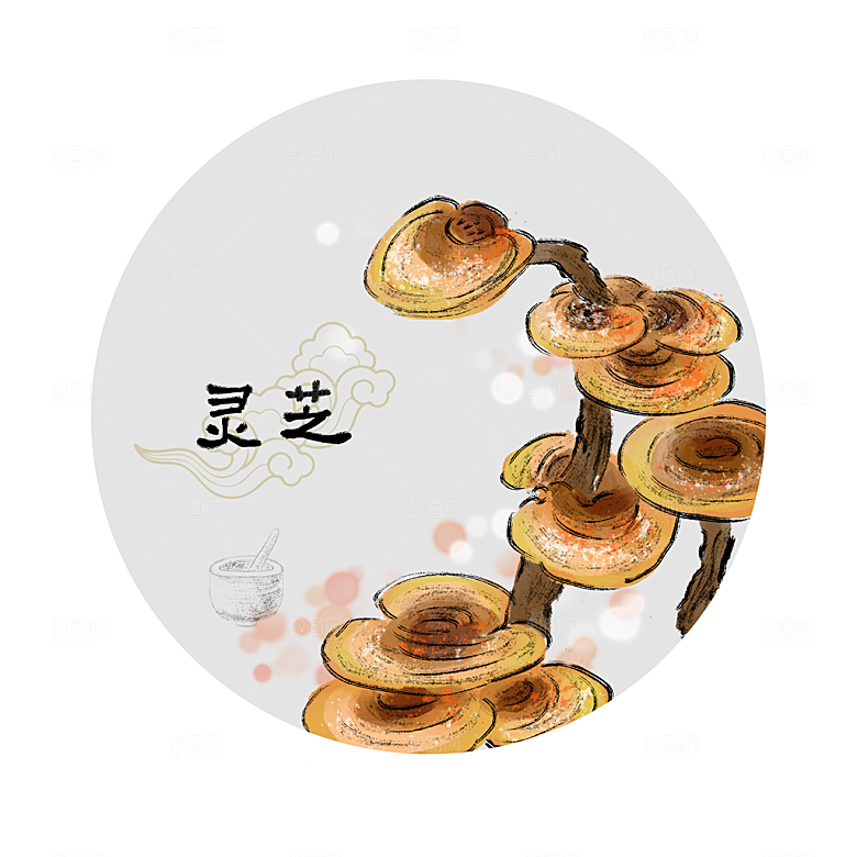 中草药作用与功效介绍插画